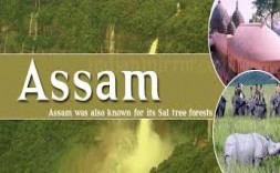 1381327018Assam.jpg
